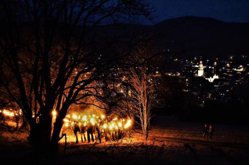 Osterfeuer-Hallenberg-2018-Foto-Rita-Maurer-13