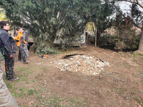 20211112 120446-cb2df54660c327b1ff7a73e14fa789d1