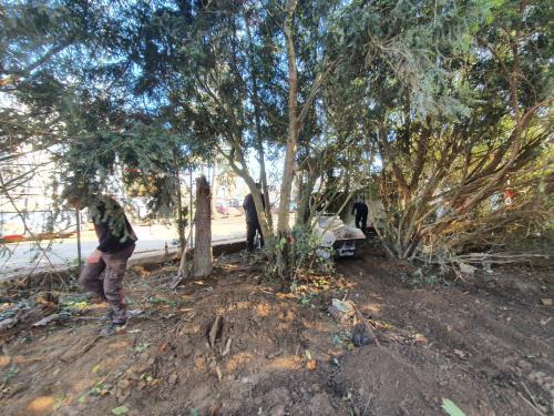 20211112 131548-cb2df54660c327b1ff7a73e14fa789d1