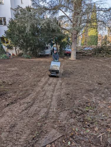 PXL 20211112 145237385-cb2df54660c327b1ff7a73e14fa789d1