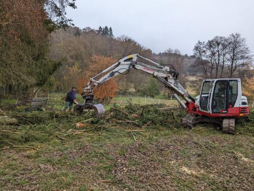 PXL 20211113 082428879-cb2df54660c327b1ff7a73e14fa789d1