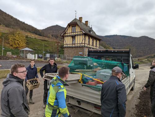 PXL 20211114 141144334-cb2df54660c327b1ff7a73e14fa789d1