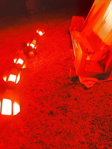 168275740 4247144885297192 7557754167189310585 n