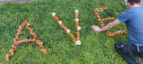 49c080d9-391a-4aa5-bda2-adbfa55e7df3