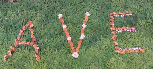 55c18089-1ffb-4819-8fcc-3680e11dc0ce