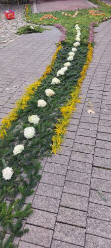 b31616fc-5603-4caf-a0eb-69ee8835ceea