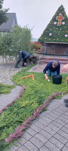 c01f7ad2-a330-4363-b187-0a70175c2ee9